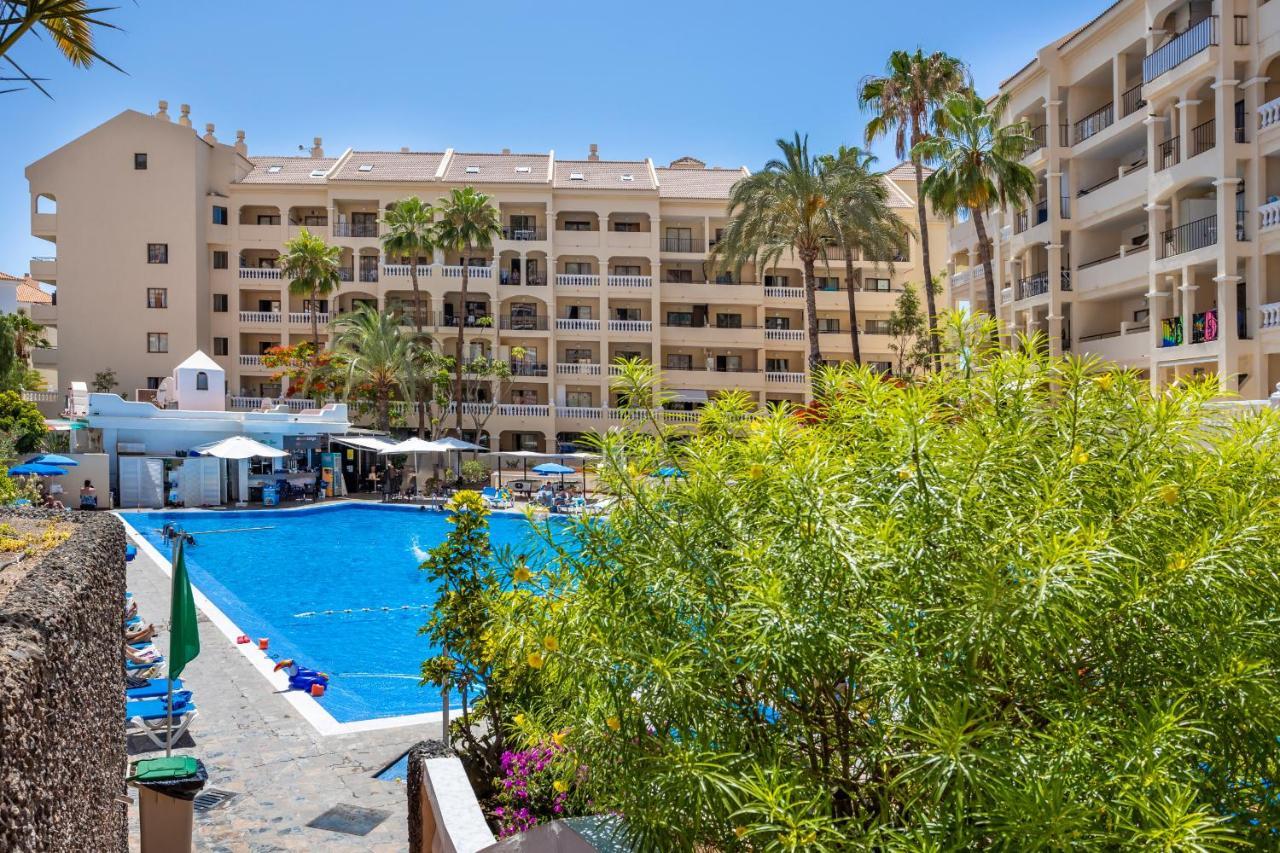 Castle Harbour Cozy Studio Heated Pool Los Cristianos Lovetenerife Arona  Zewnętrze zdjęcie